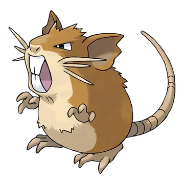 Raticate official artwork