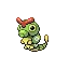 Caterpie