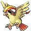 Pidgeot