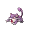 Rattata