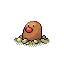 Diglett