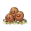 Dugtrio