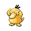 Psyduck
