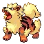 Arcanine