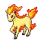 Ponyta