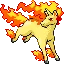 Rapidash
